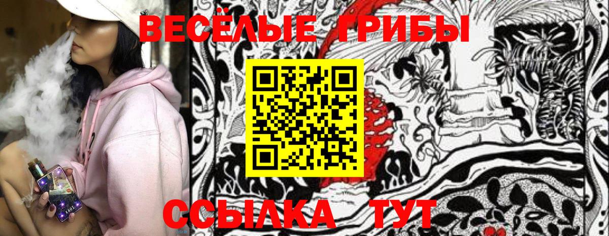 Галлюциногенные грибы GOLDEN TEACHER Сердобск