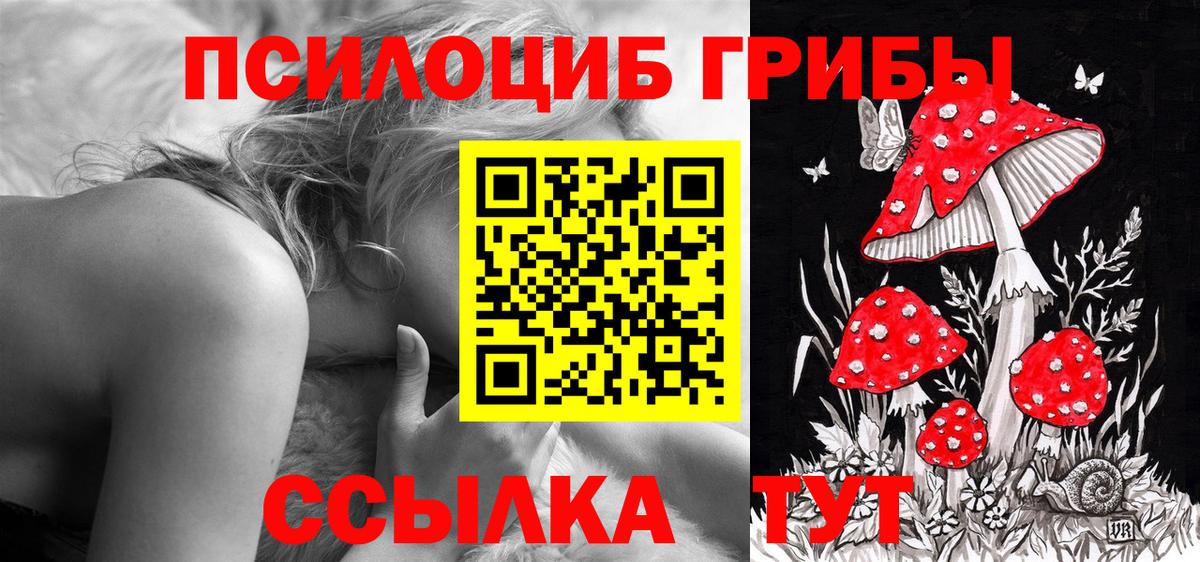 Галлюциногенные грибы MAGIC MUSHROOMS  Вход с VPN  Сердобск 